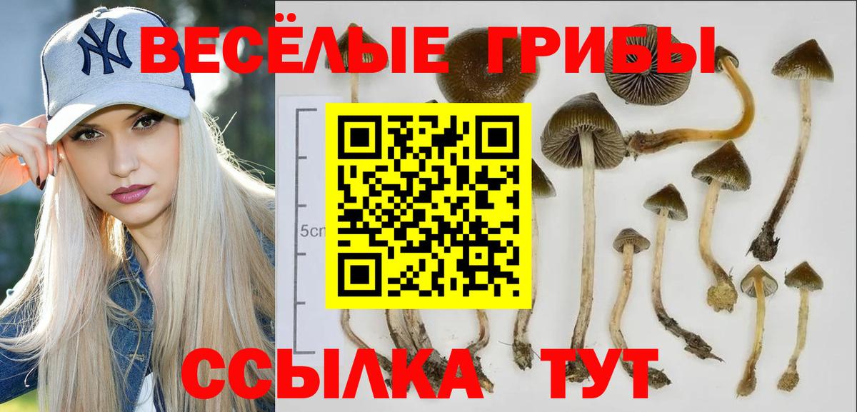 Псилоцибиновые грибы ЛСД  Вход с VPN  Ивантеевка 