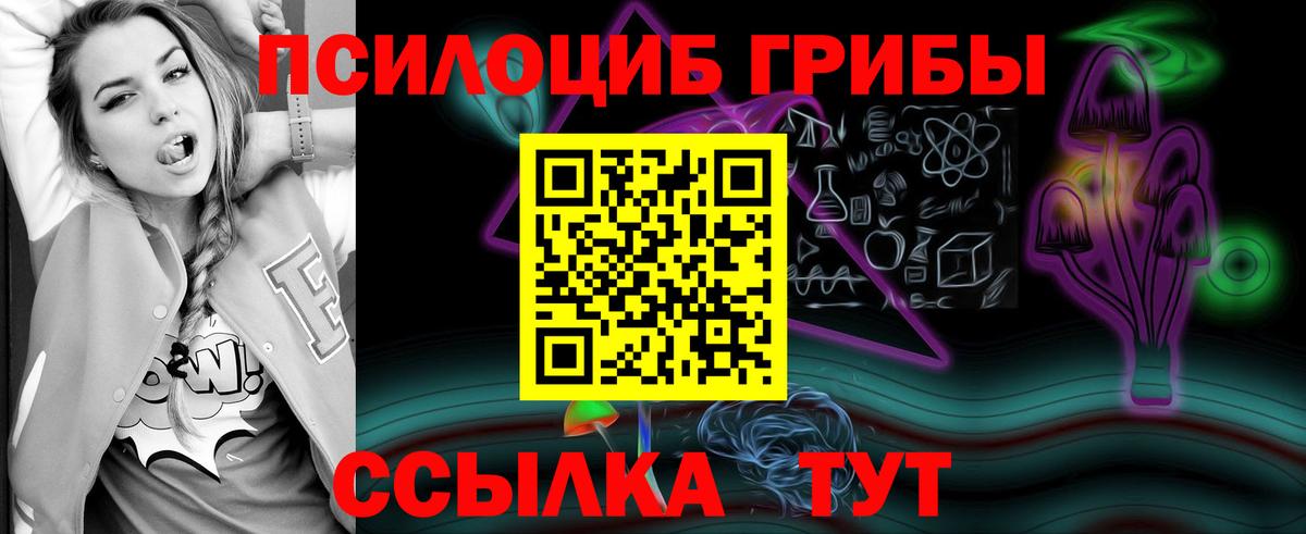 Псилоцибиновые грибы прущие грибы Ивантеевка